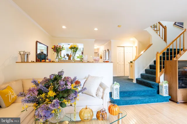 a living room with furniture flowerpot and a chandelier