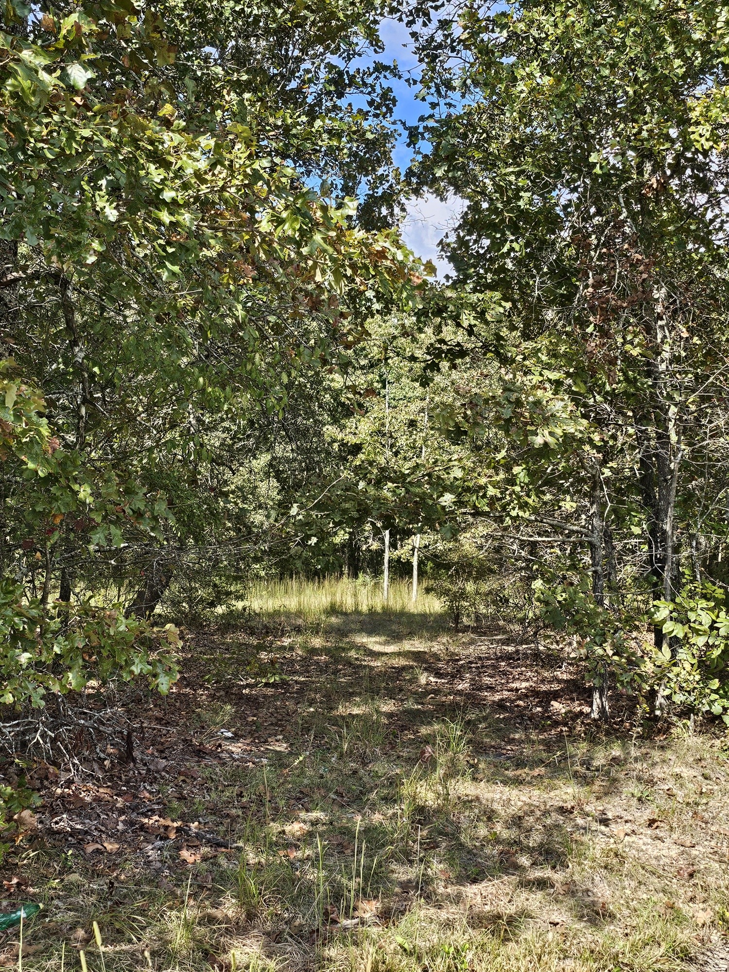 212 Reed Road Summertown, TN 38483 - Photo 3 of 4 a view of lake view