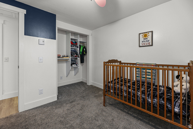 822 Pinewood Circle Price, UT 84501 - Photo 16 of 49 Bedroom featuring plush gray carpeting, white walls, and a partial accent wall in deep blue
