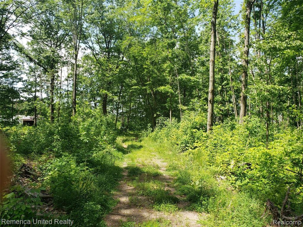 2469 East Spruce Road Spruce, MI 48762 - Photo 47 of 48