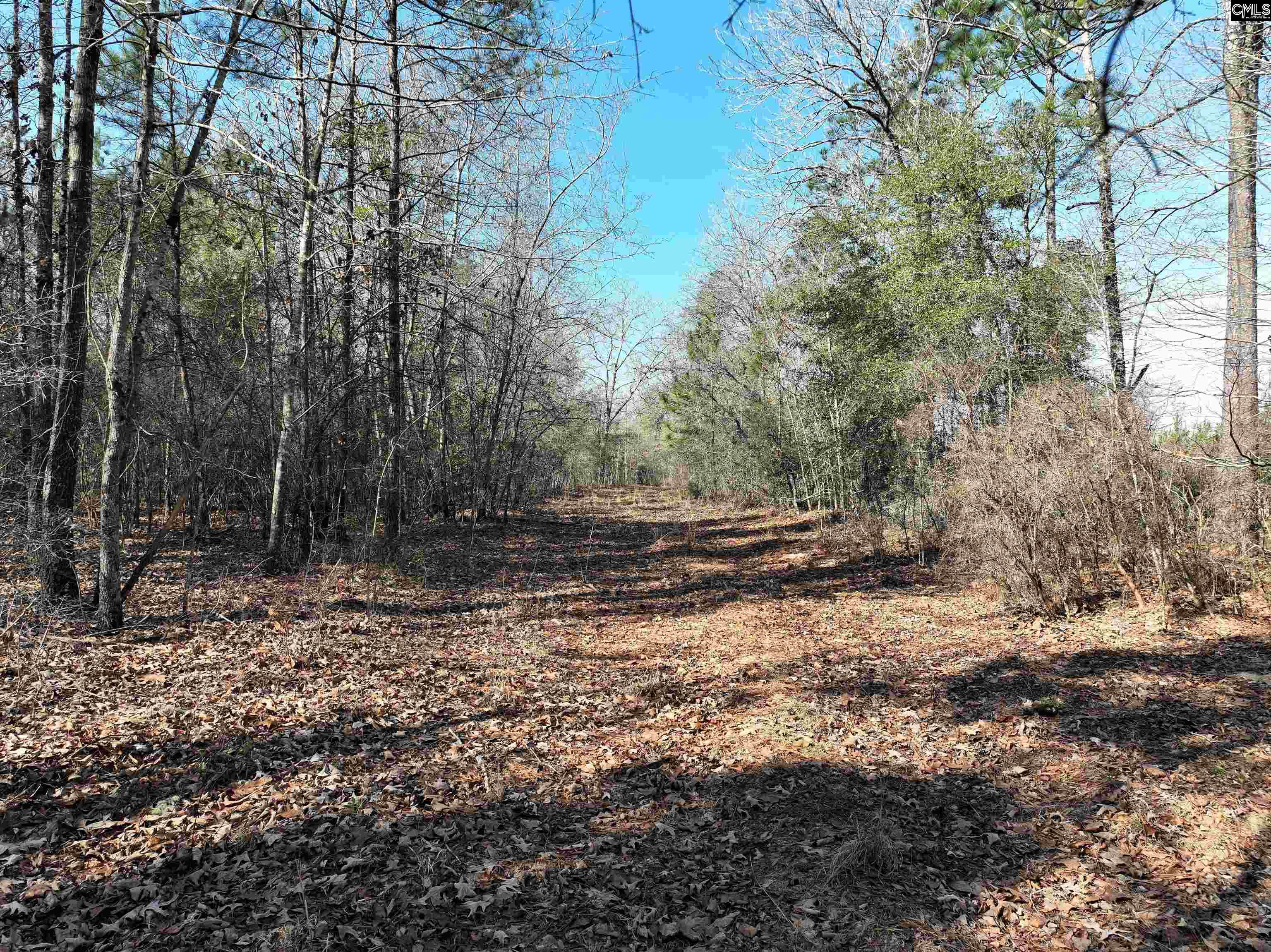 0 Salley Road Salley, SC 29137 - Photo 17 of 21