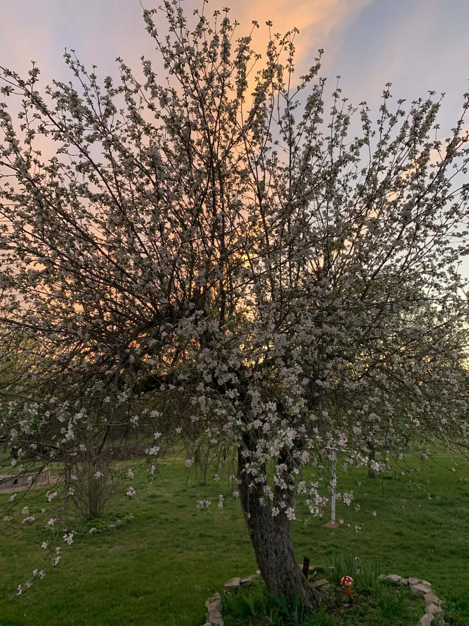 13625 Potter Road Bear Lake, MI 49614 - Photo 14 of 21 1000020326