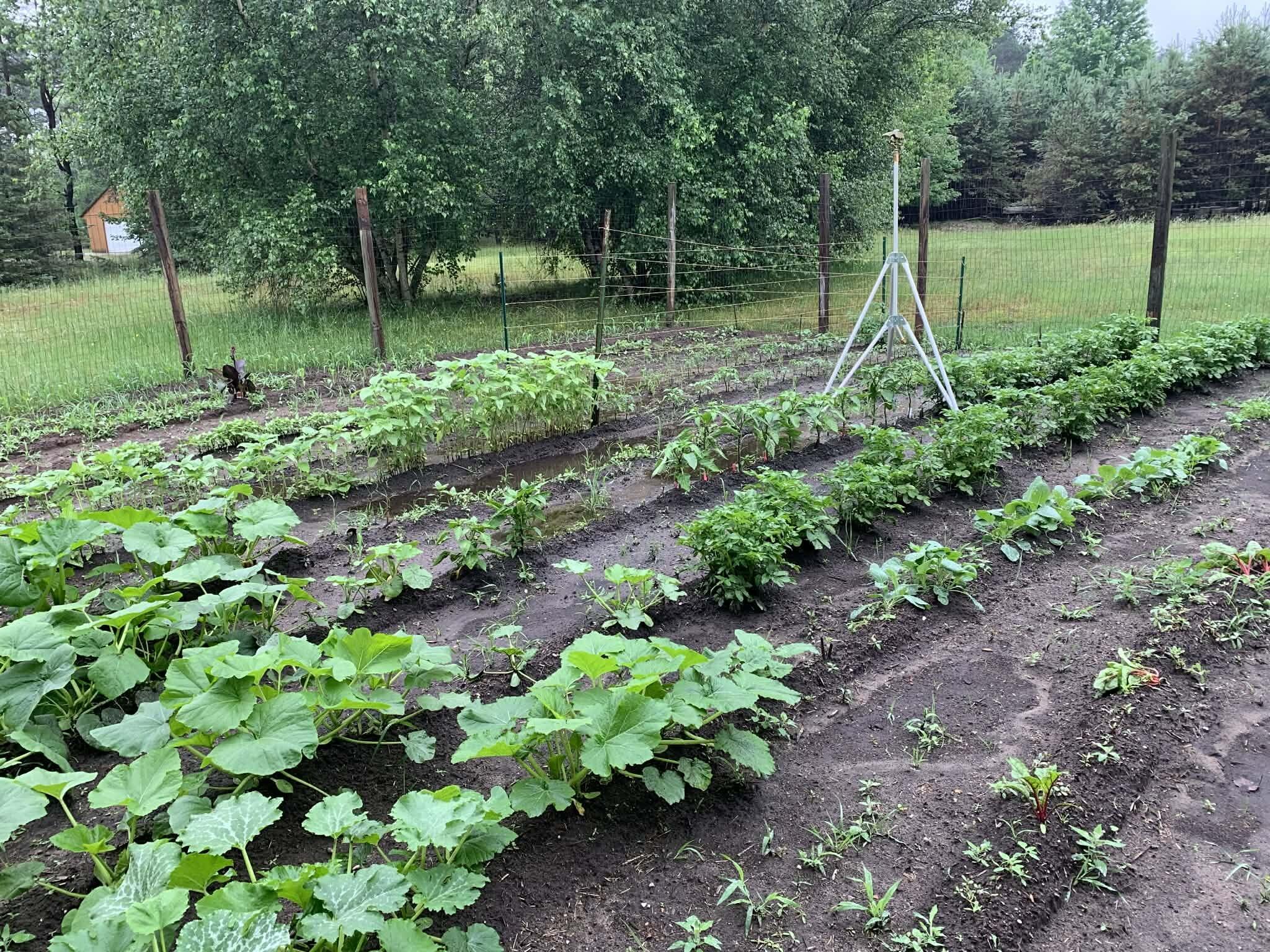 13625 Potter Road Bear Lake, MI 49614 - Photo 15 of 21 1000020324