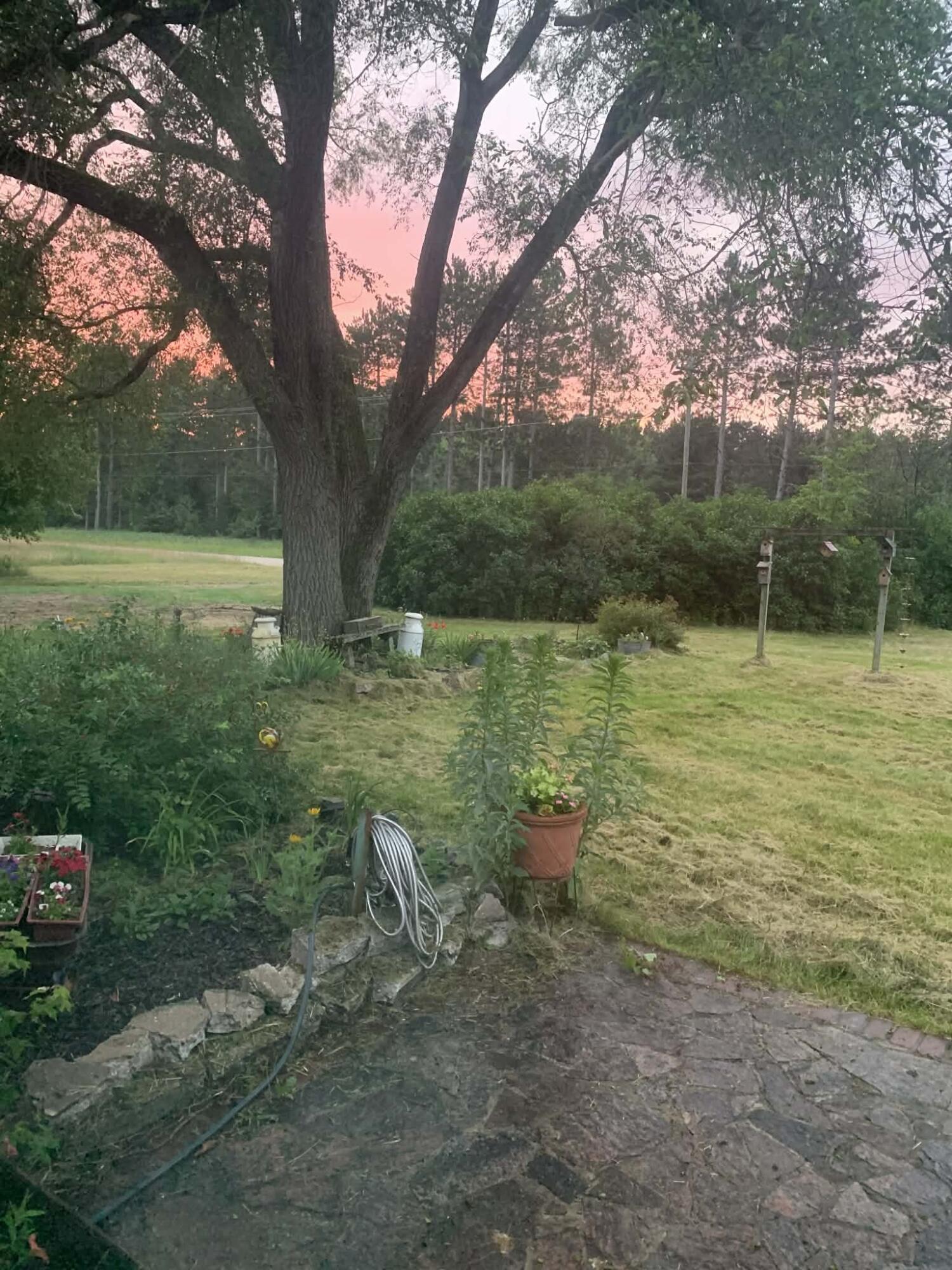 13625 Potter Road Bear Lake, MI 49614 - Photo 17 of 21 1000020322