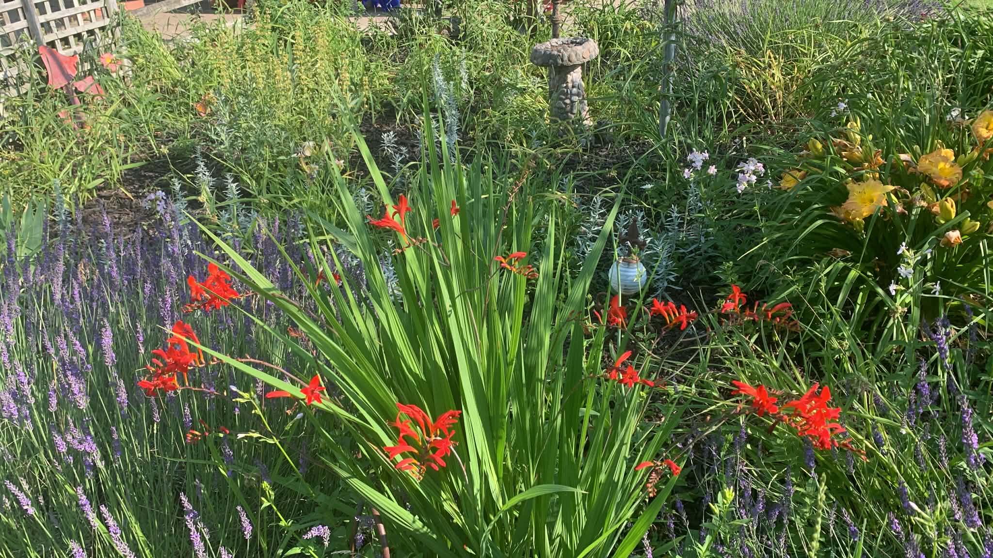 13625 Potter Road Bear Lake, MI 49614 - Photo 18 of 21 1000020321