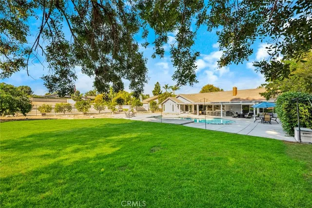 a view of a swimming pool with lawn chairs and plants