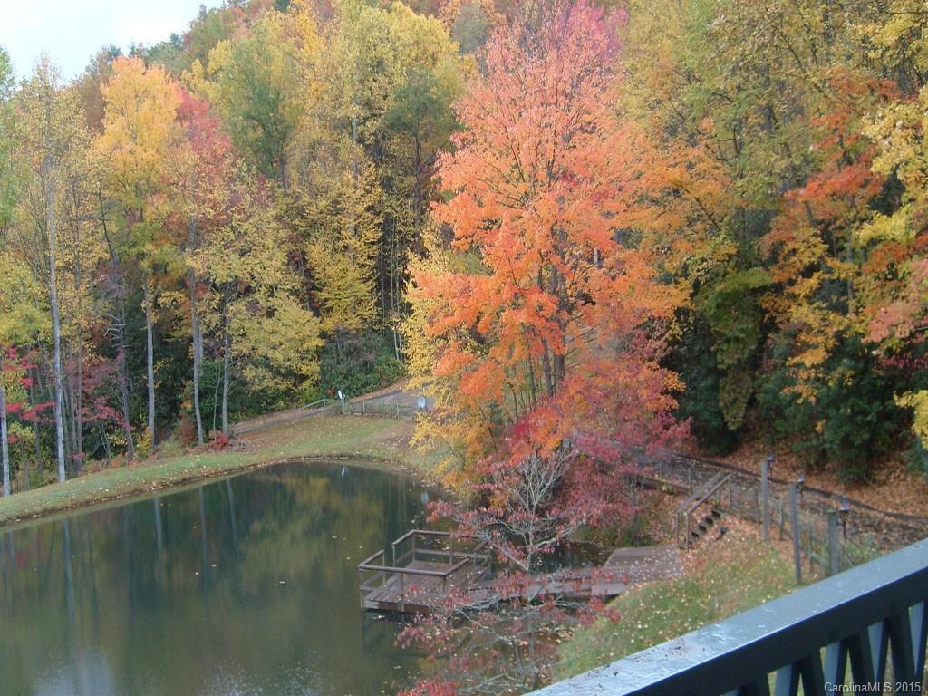 950 Mt Chalet Road Canton, NC 28716 - Photo 13 of 19