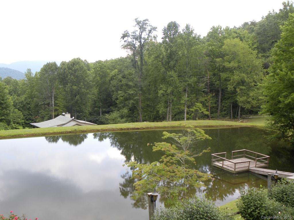 950 Mt Chalet Road Canton, NC 28716 - Photo 18 of 19