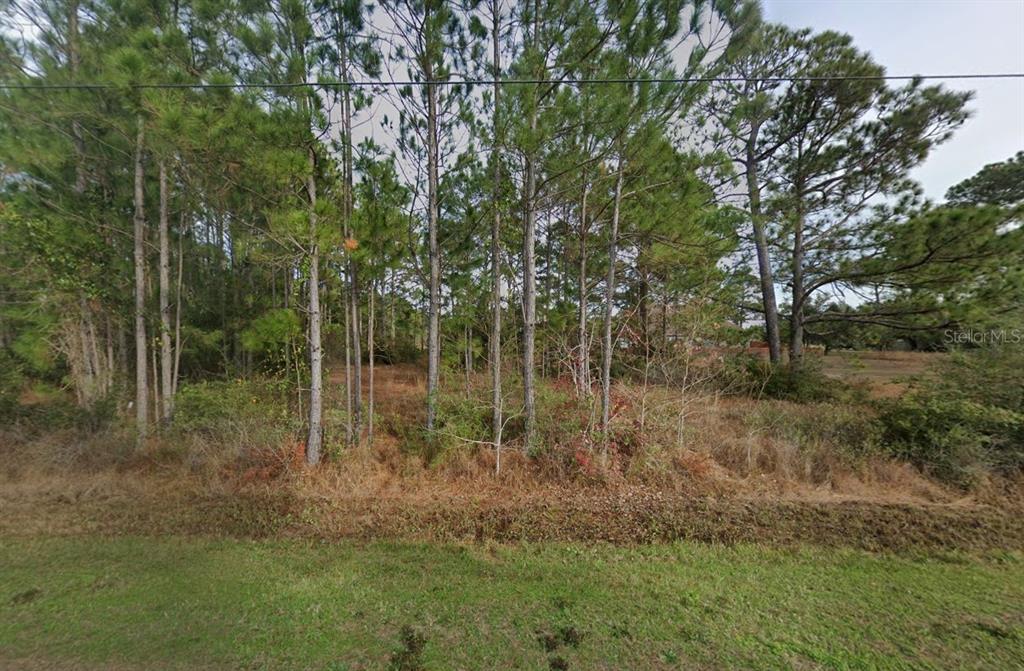 1086 Pearson Road Milton, FL 32583 - Photo 2 of 6 a view of a forest