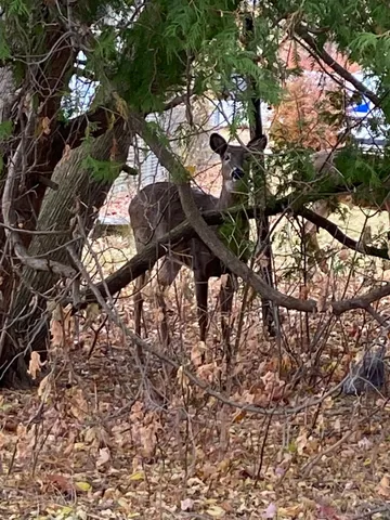 $189,900 | 1629 Pernin Street, Marinette, WI 54143