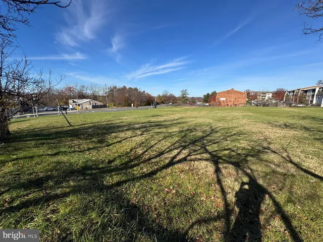 a view of a field with an trees