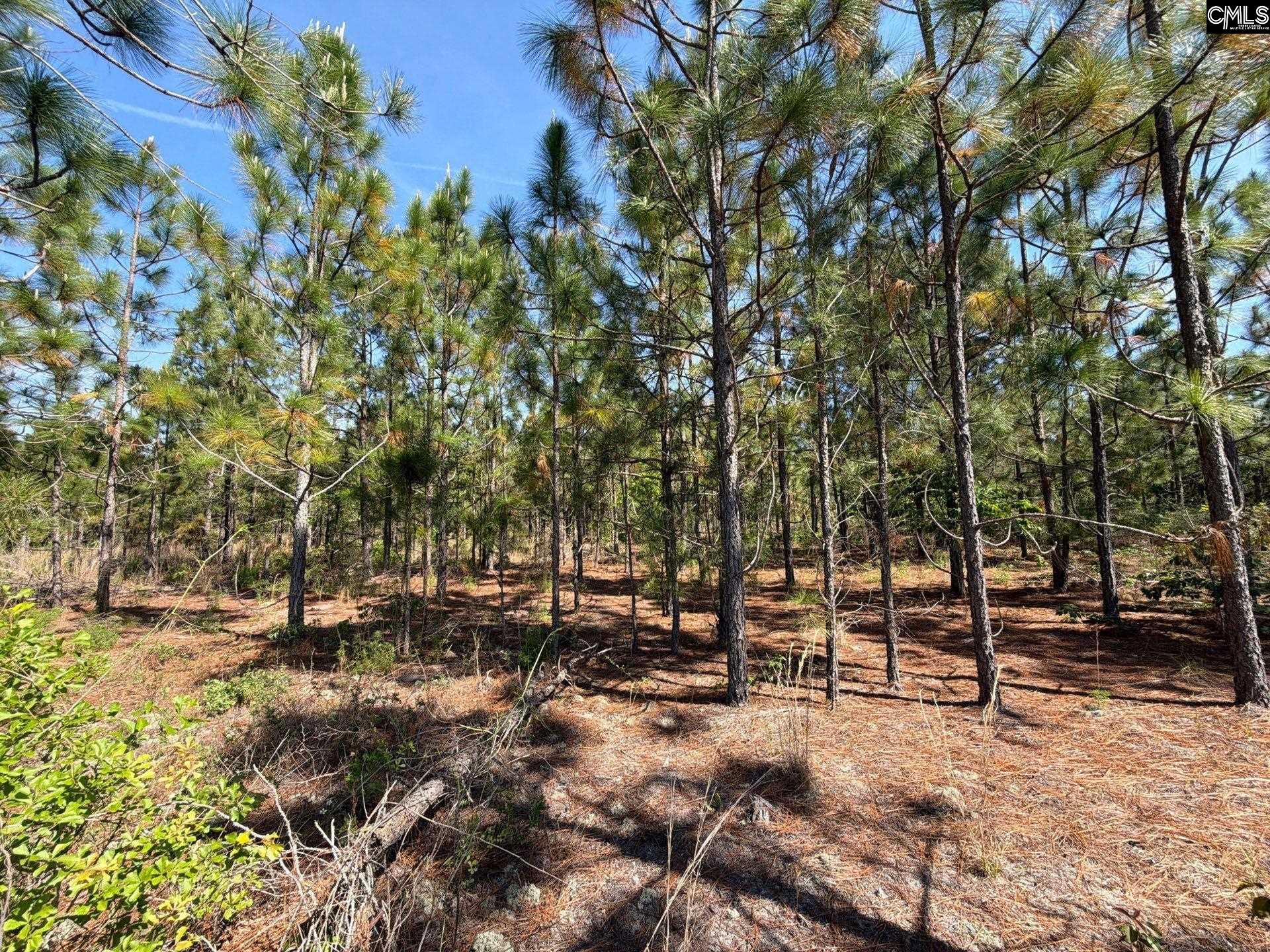 2 Holstein Road Monetta, SC 29105 - Photo 5 of 14
