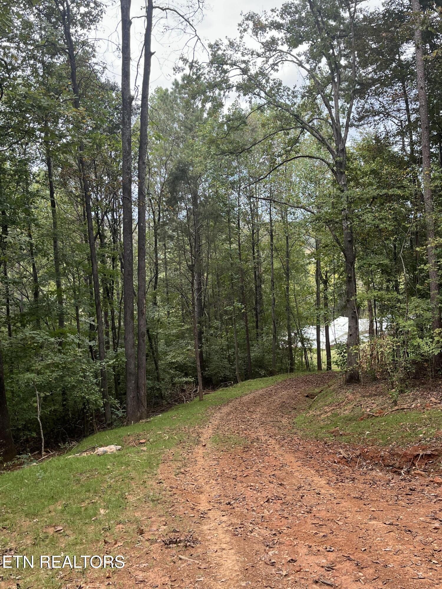 0 Cr 67 Road Riceville, TN 37370 - Photo 25 of 50 Gallery Image 25