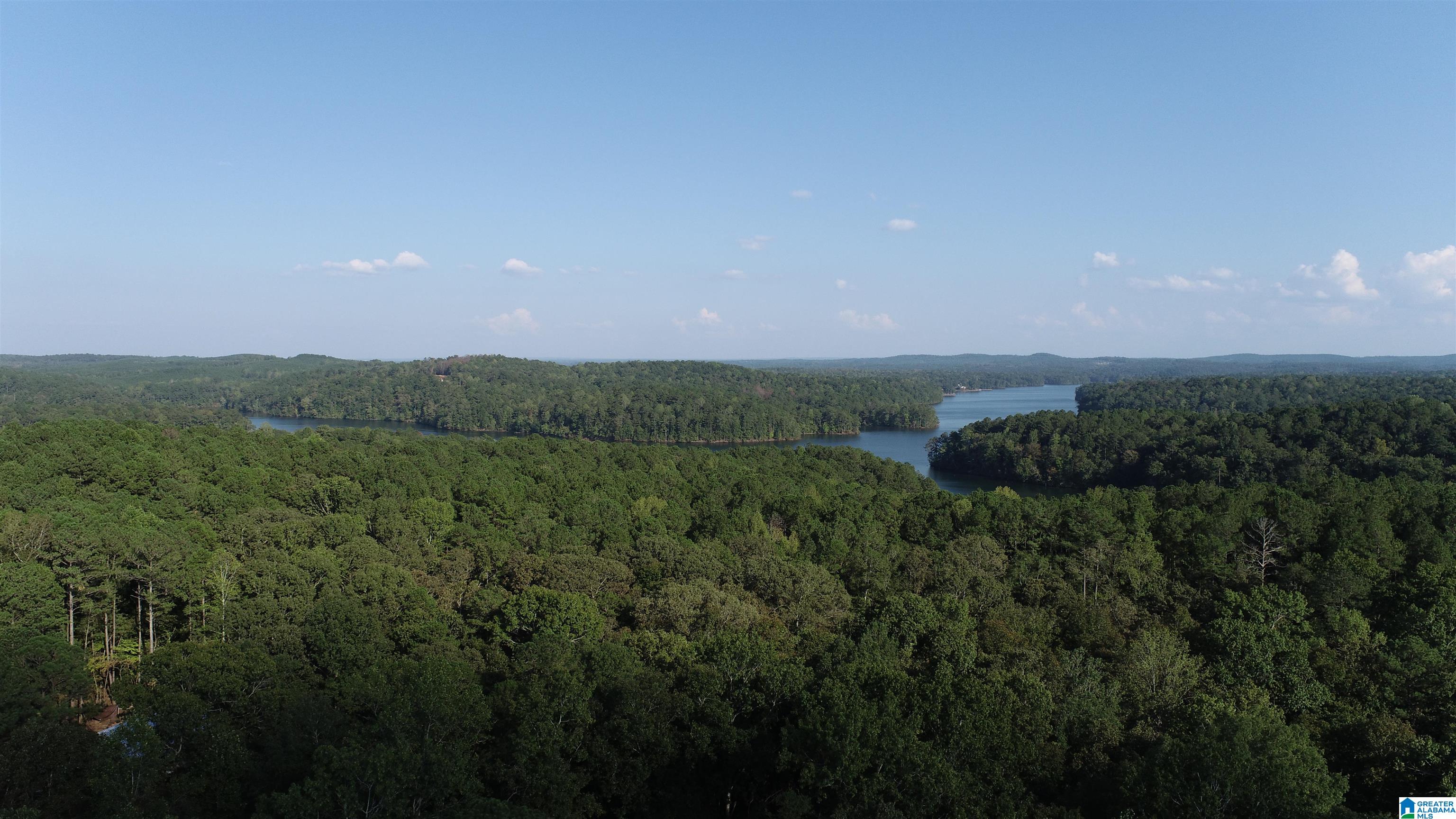 24 Fawn Way Lineville, AL 36266 - Photo 24 of 30