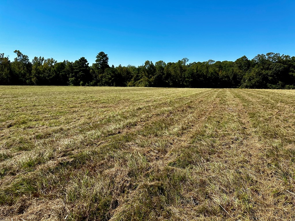 5.78-acres Cora Powell Road Samson, AL 36477 - Photo 4 of 10