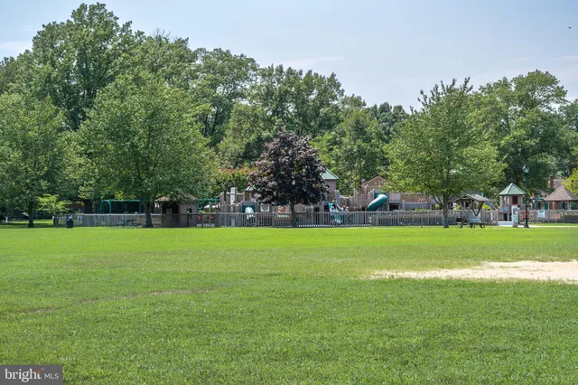 a view of shops on a street
