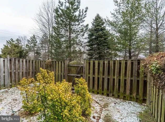 a view of garden with plants