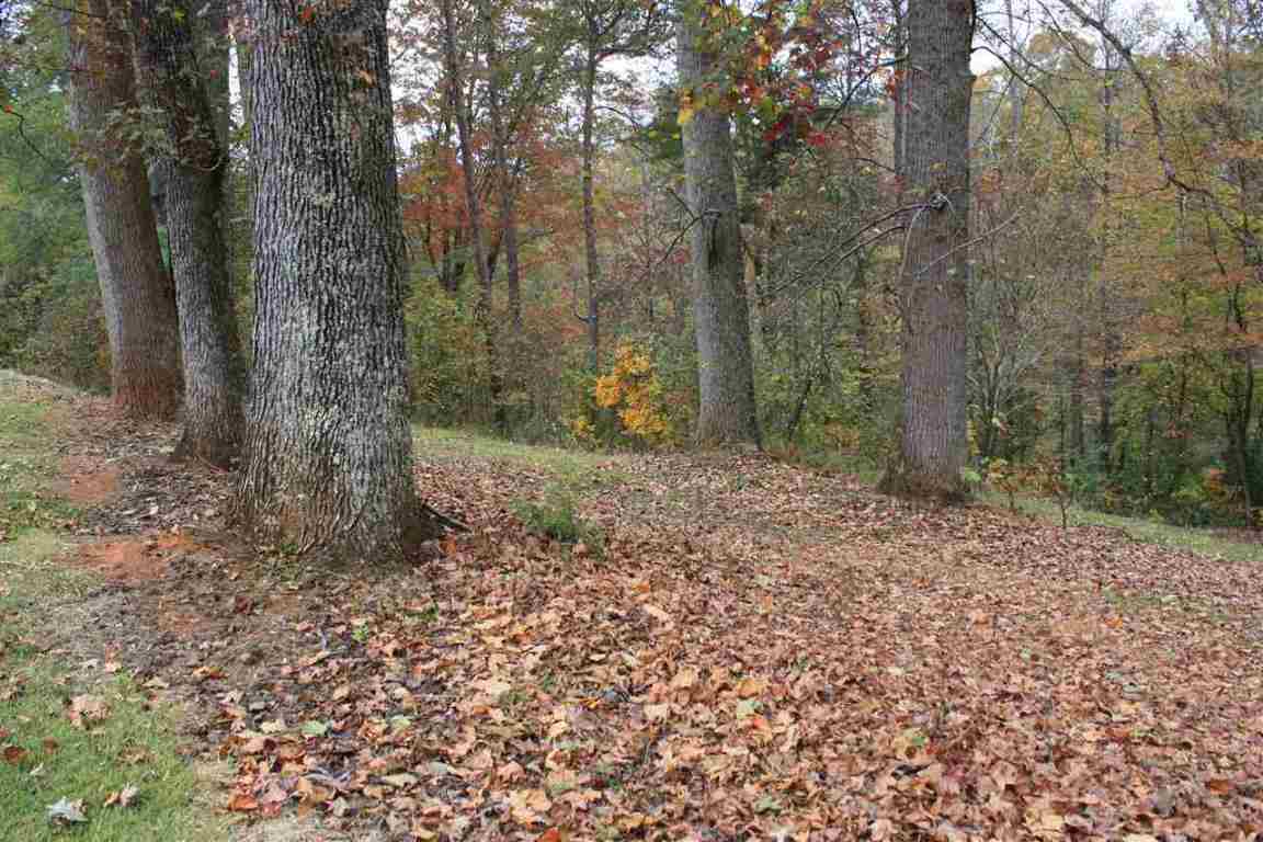 785 Connelly Road Pickens, SC 29671 - Photo 4 of 6