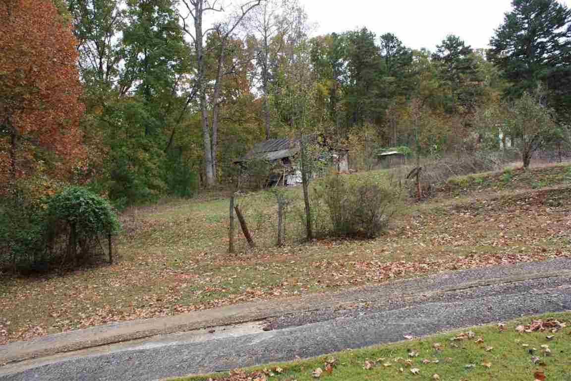 785 Connelly Road Pickens, SC 29671 - Photo 5 of 6