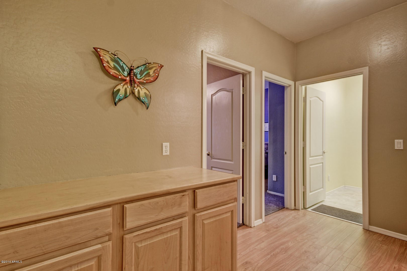 17586 West Agave Court Goodyear, AZ 85338 - Photo 31 of 46 Extra Storage thru out