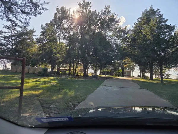 a view of outdoor space yard and trees