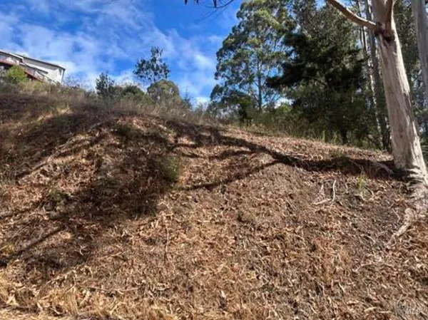 $80,000 | 1245 Shoreline Highway, Mill Valley, CA 94941