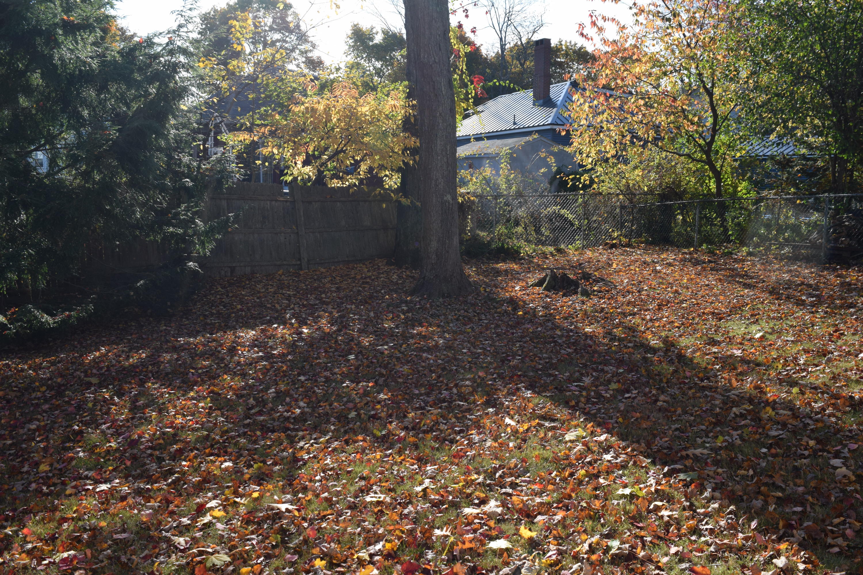 40 Edgewood Road South Portland, ME 04106 - Photo 28 of 32 Backyard