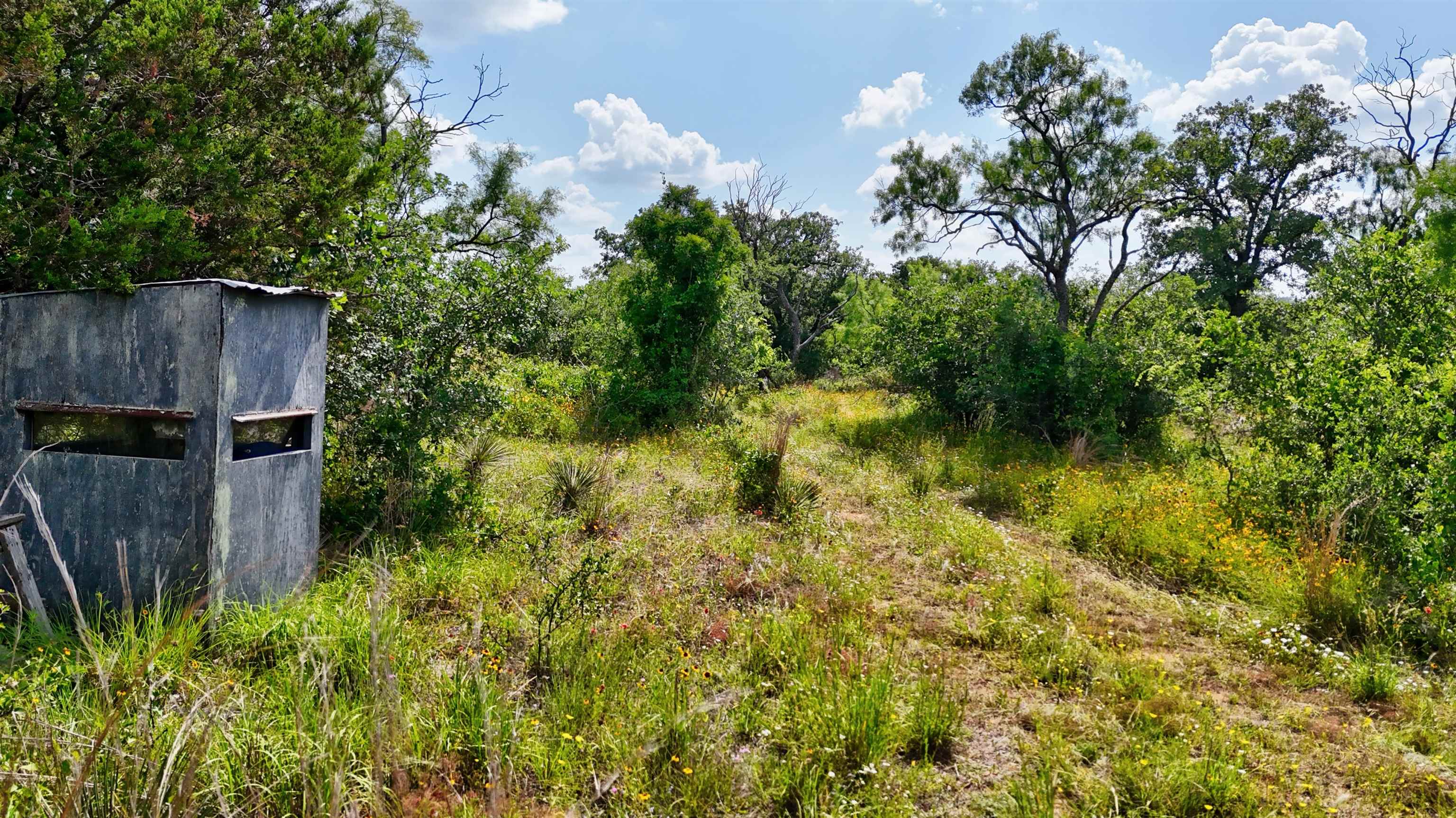 18248 Bode Peak Road Pontotoc, TX 76869 - Photo 14 of 18 Gallery Image 14