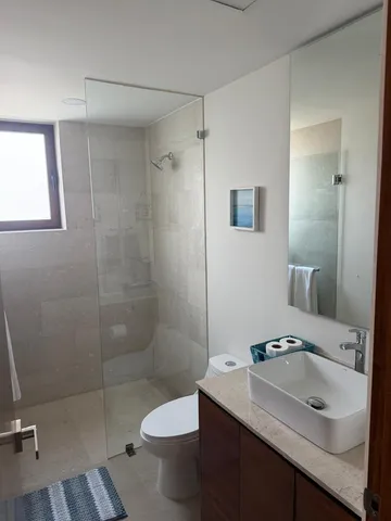 a bathroom with a sink toilet a mirror and shower