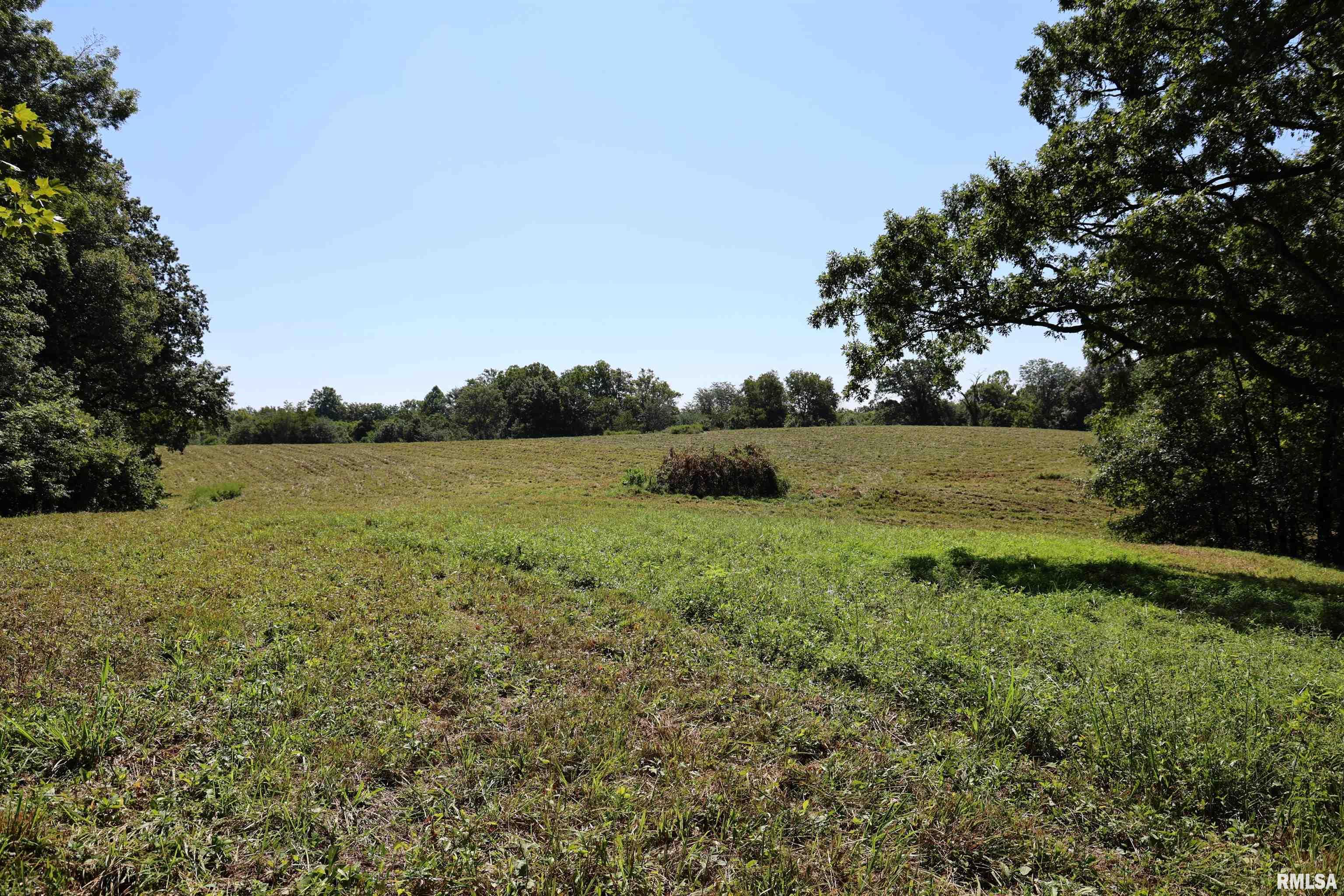 3905 Lick Creek Road Anna, IL 62906 - Photo 18 of 59