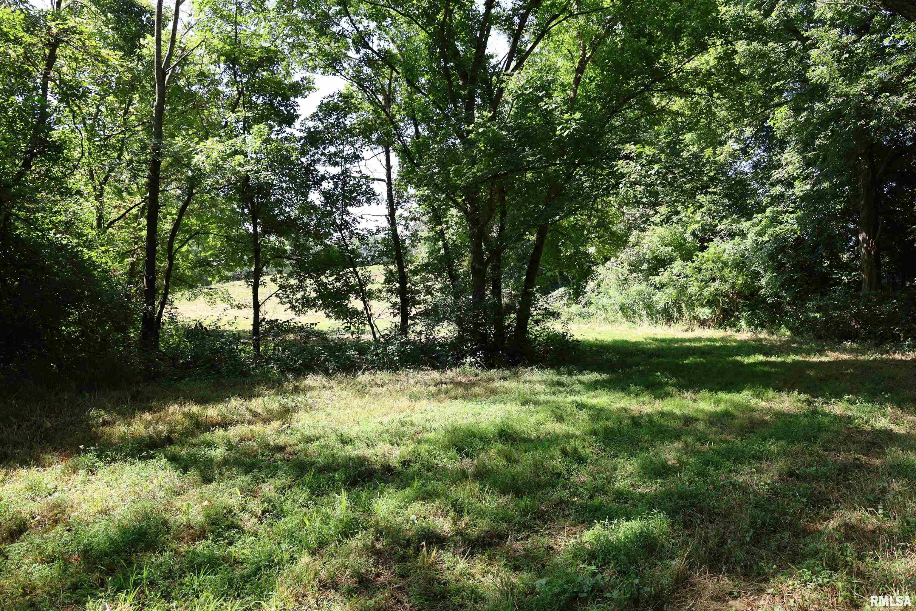 3905 Lick Creek Road Anna, IL 62906 - Photo 24 of 59