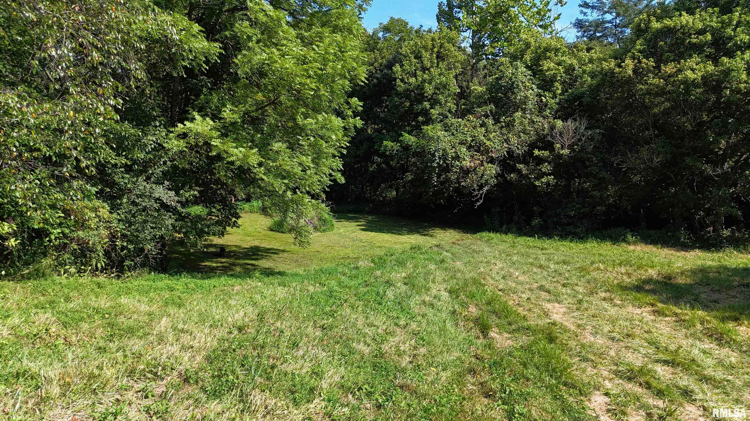 3905 Lick Creek Road Anna, IL 62906 - Photo 37 of 59