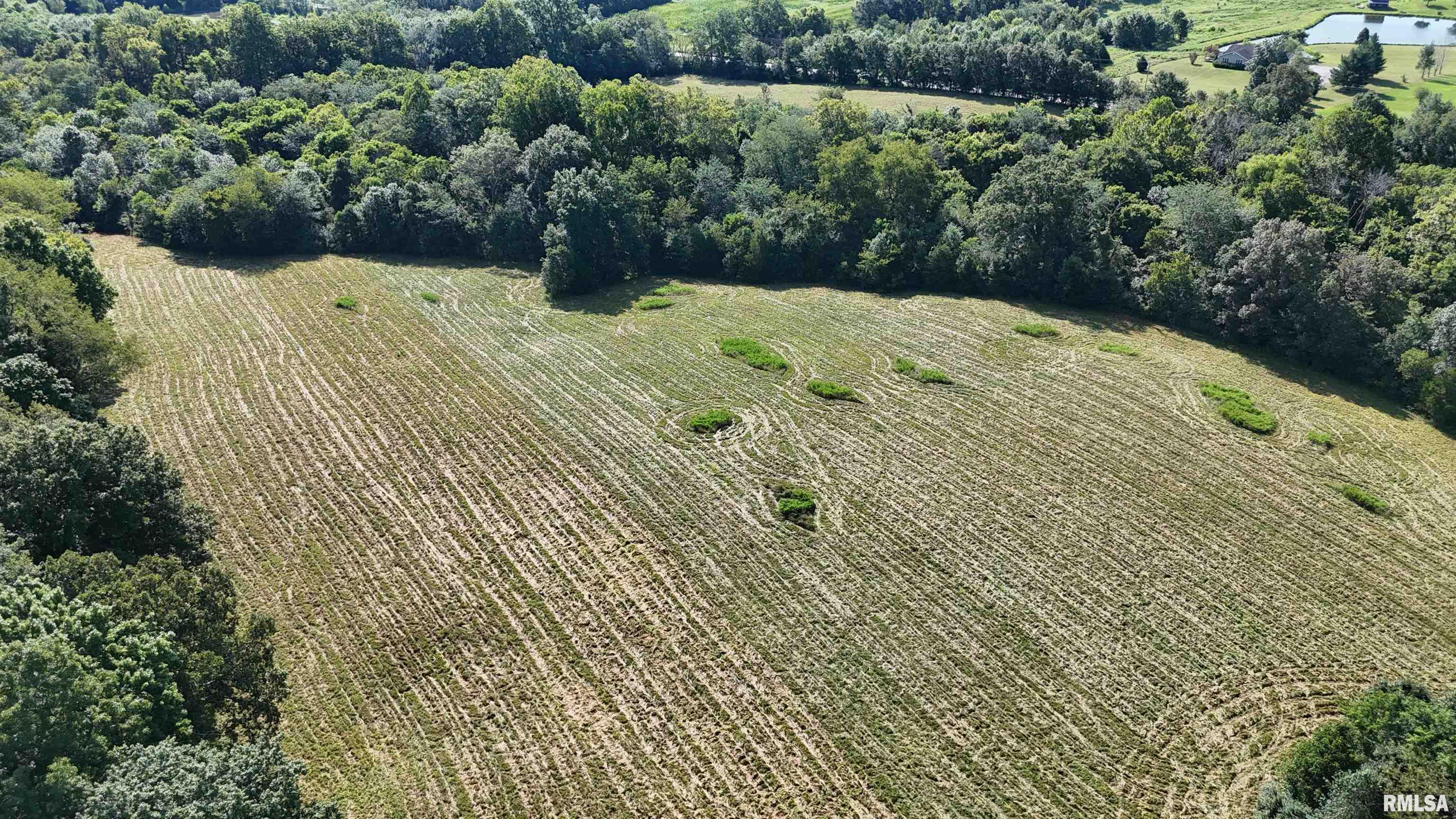3905 Lick Creek Road Anna, IL 62906 - Photo 38 of 59