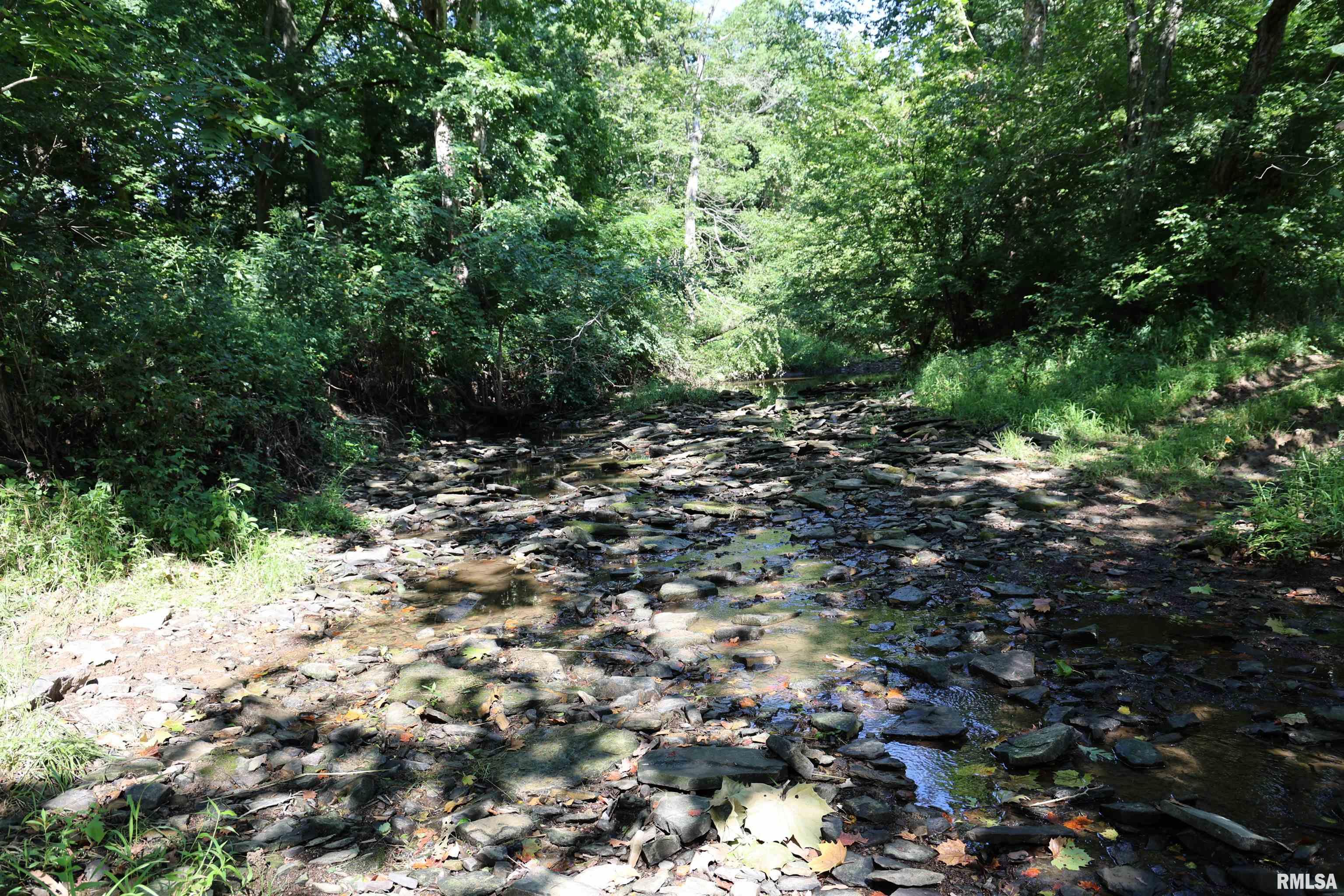 3905 Lick Creek Road Anna, IL 62906 - Photo 4 of 59