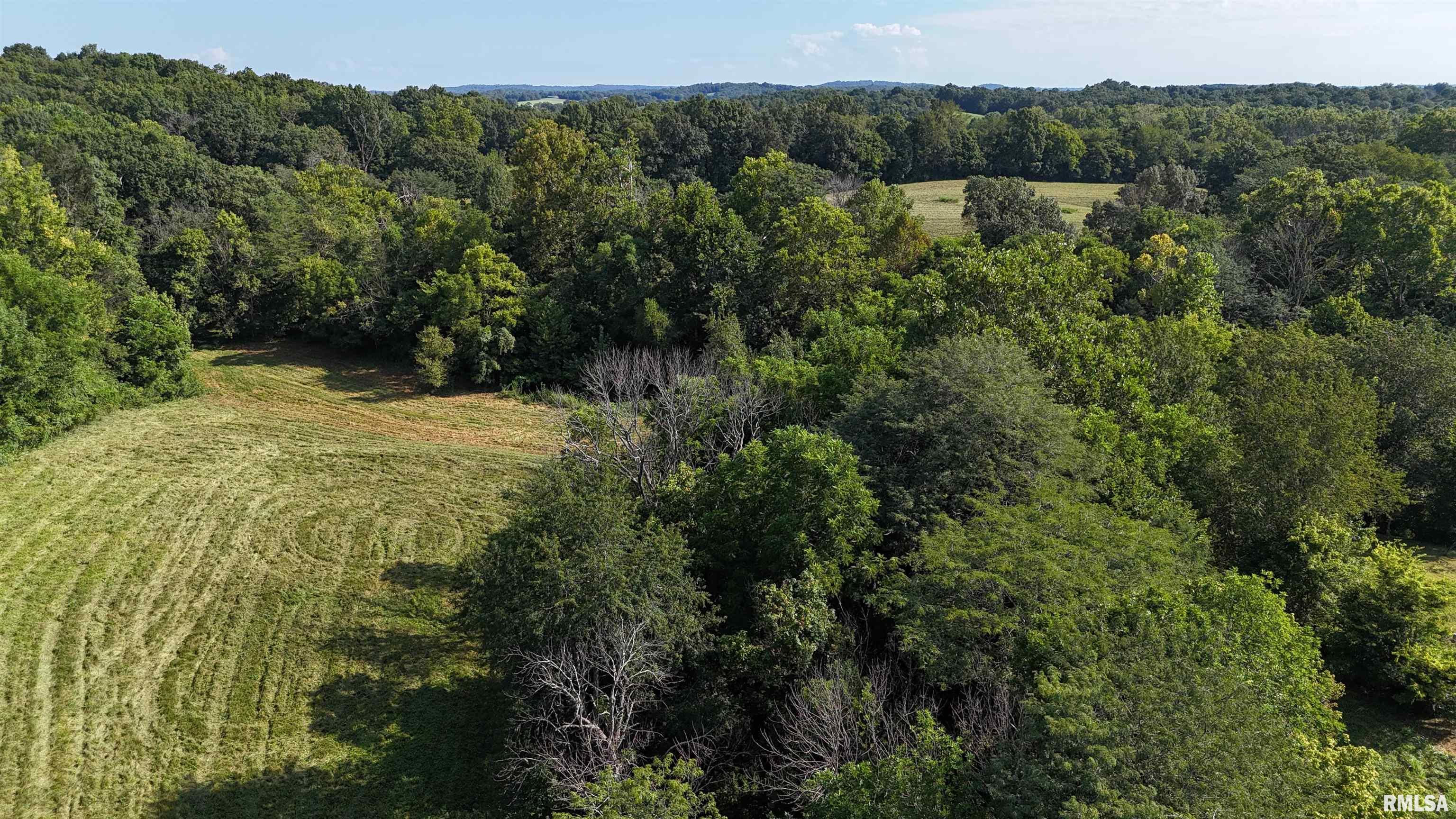 3905 Lick Creek Road Anna, IL 62906 - Photo 41 of 59