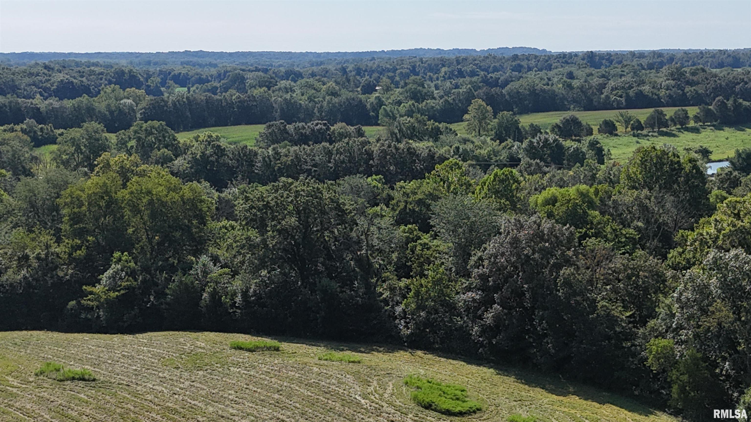 3905 Lick Creek Road Anna, IL 62906 - Photo 47 of 59