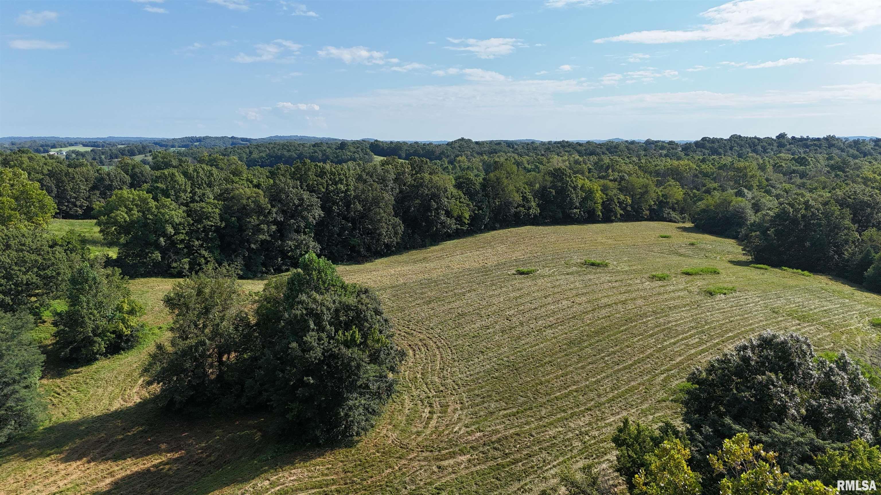 3905 Lick Creek Road Anna, IL 62906 - Photo 50 of 59
