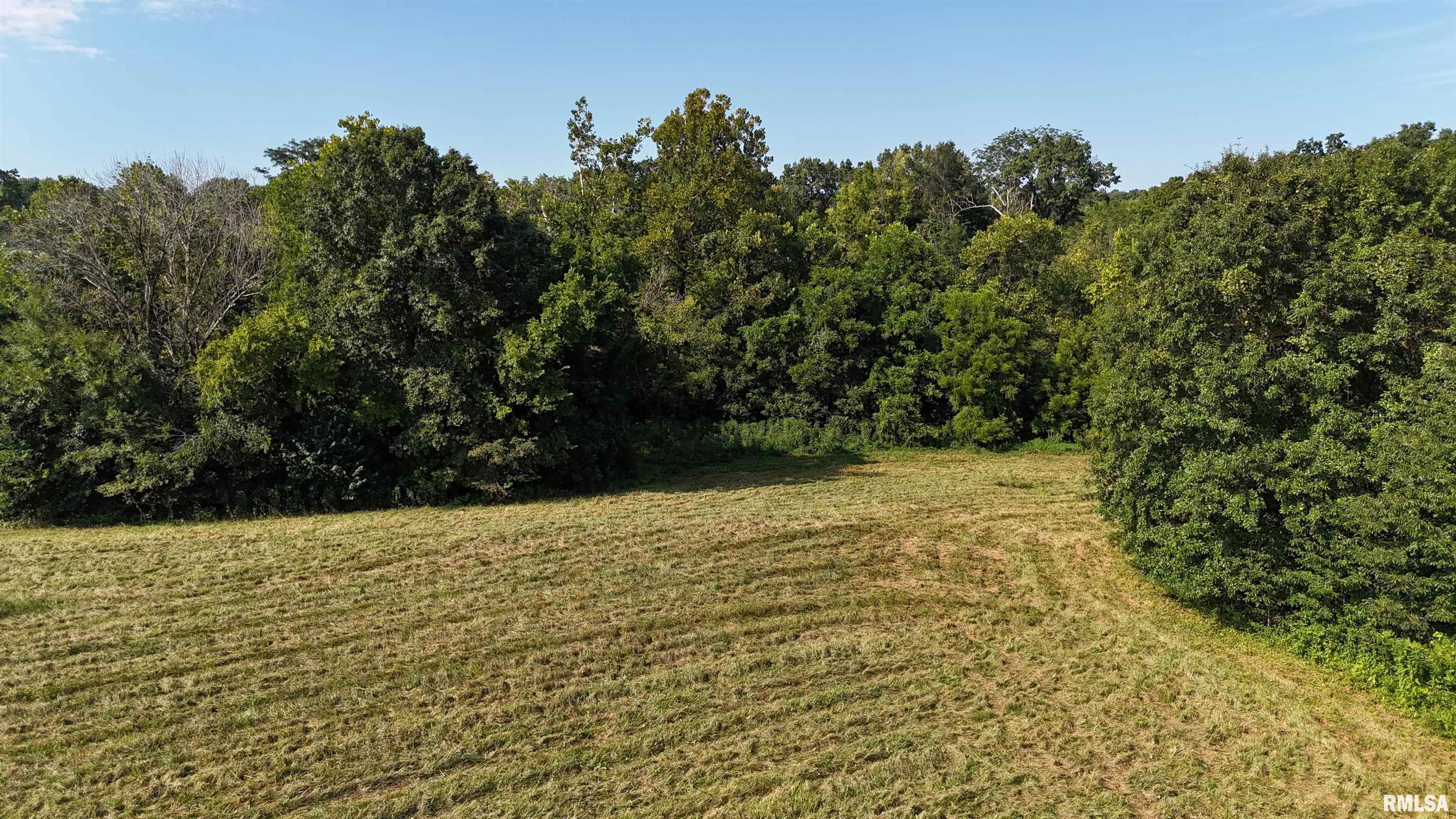3905 Lick Creek Road Anna, IL 62906 - Photo 51 of 59