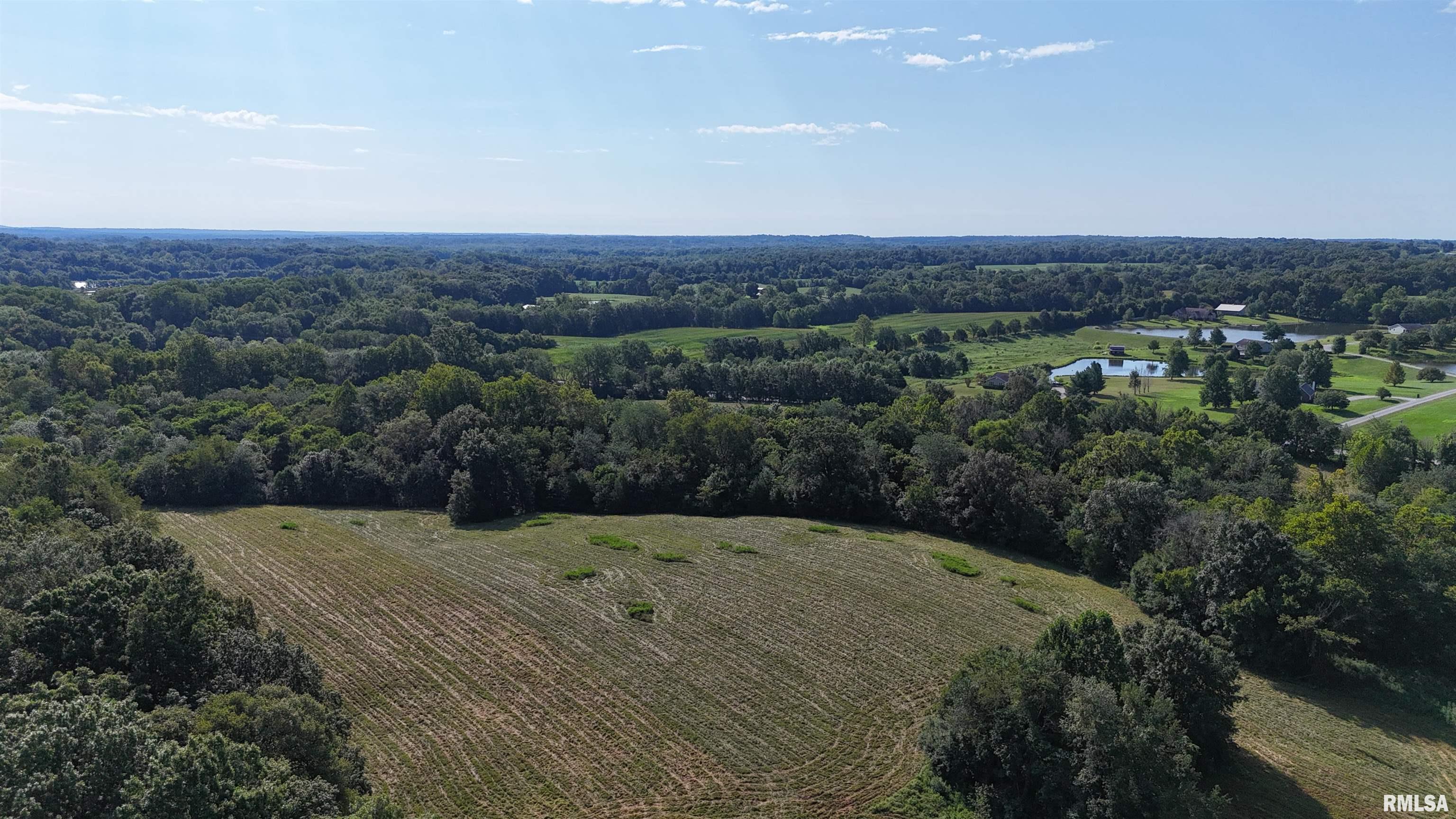 3905 Lick Creek Road Anna, IL 62906 - Photo 52 of 59