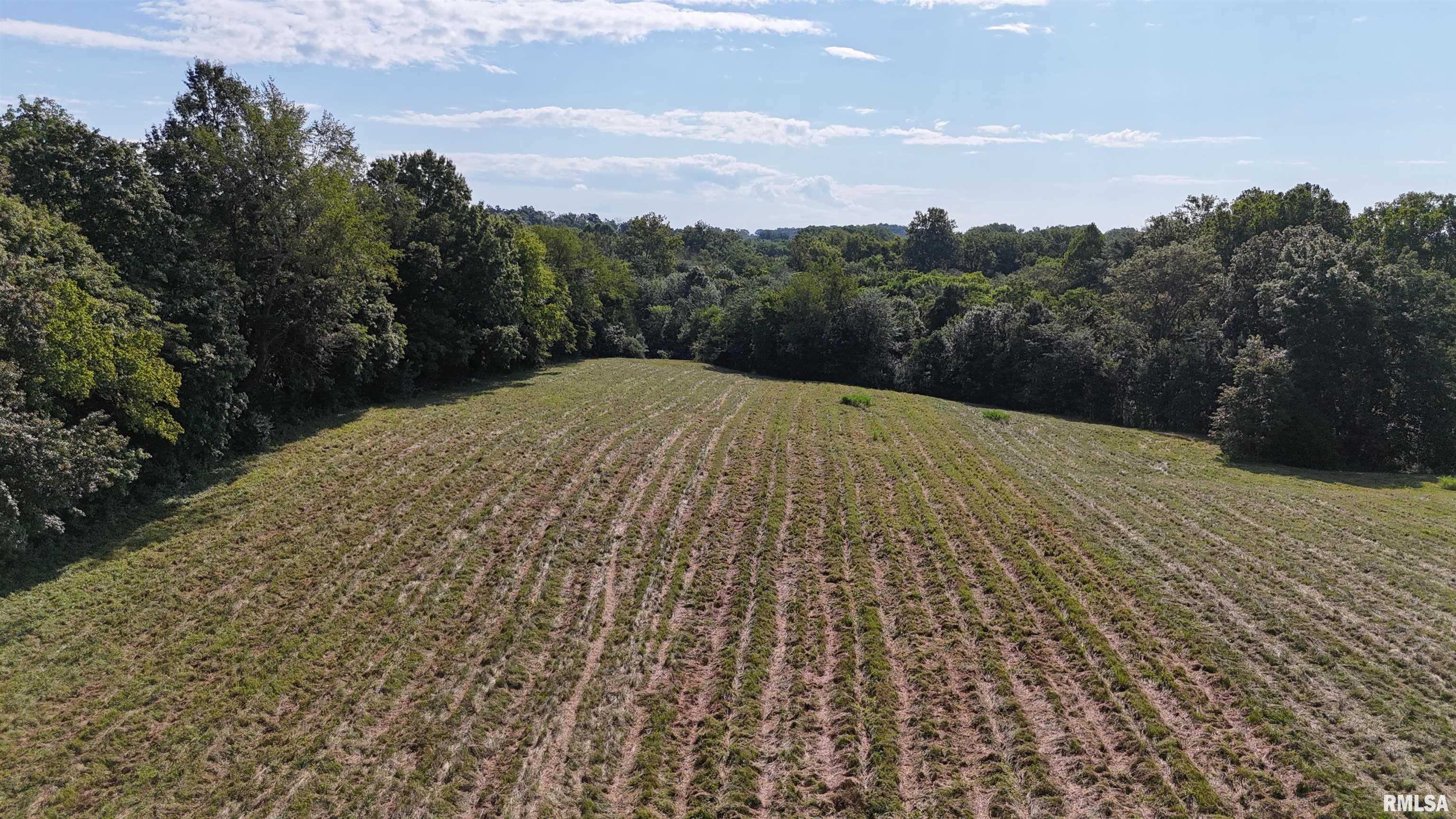 3905 Lick Creek Road Anna, IL 62906 - Photo 55 of 59