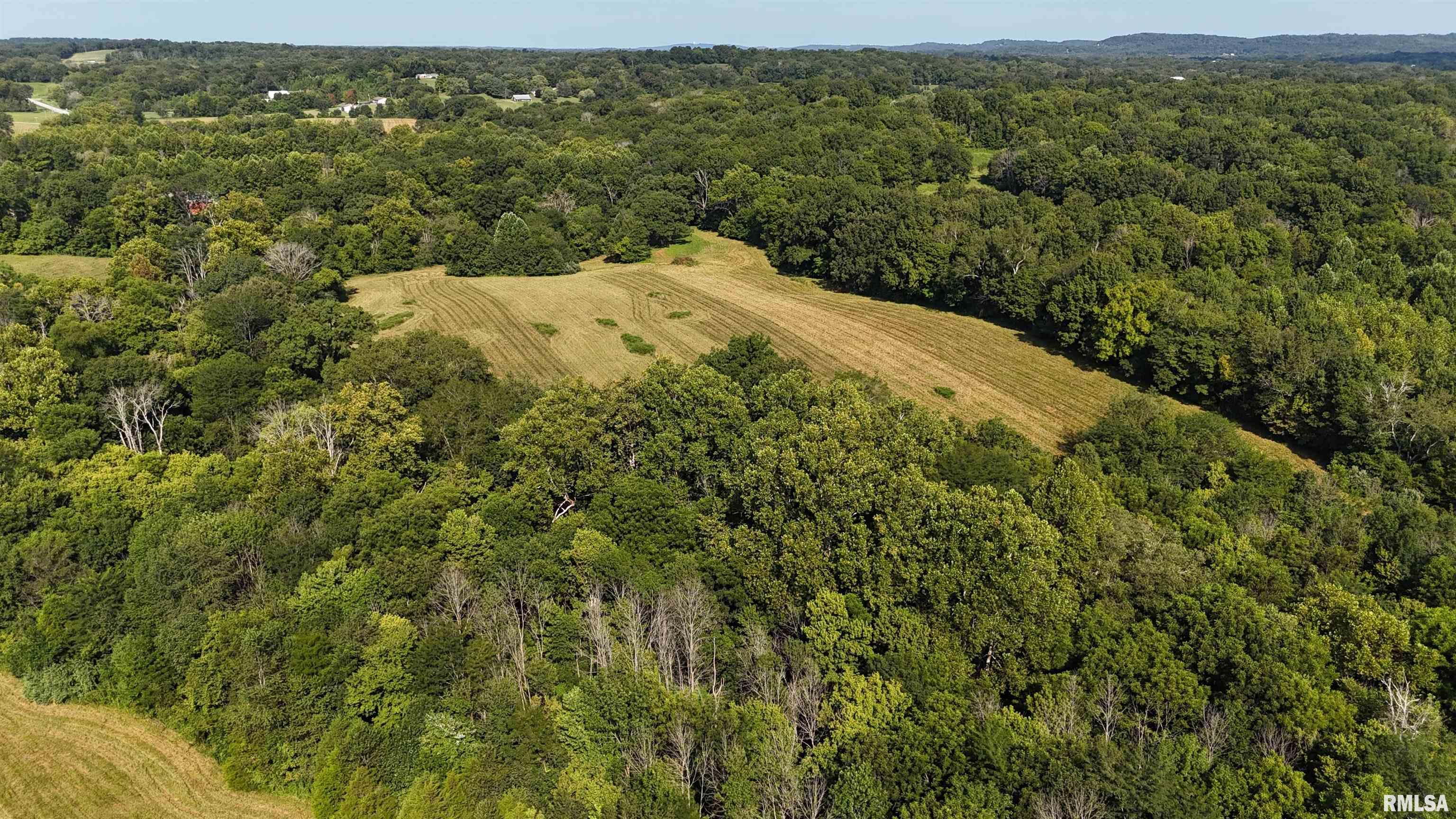 3905 Lick Creek Road Anna, IL 62906 - Photo 56 of 59