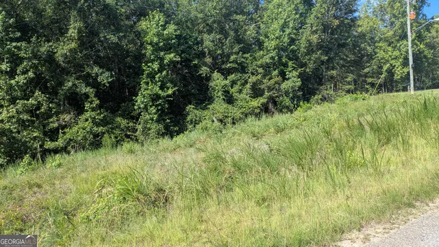 a view of a lush green space