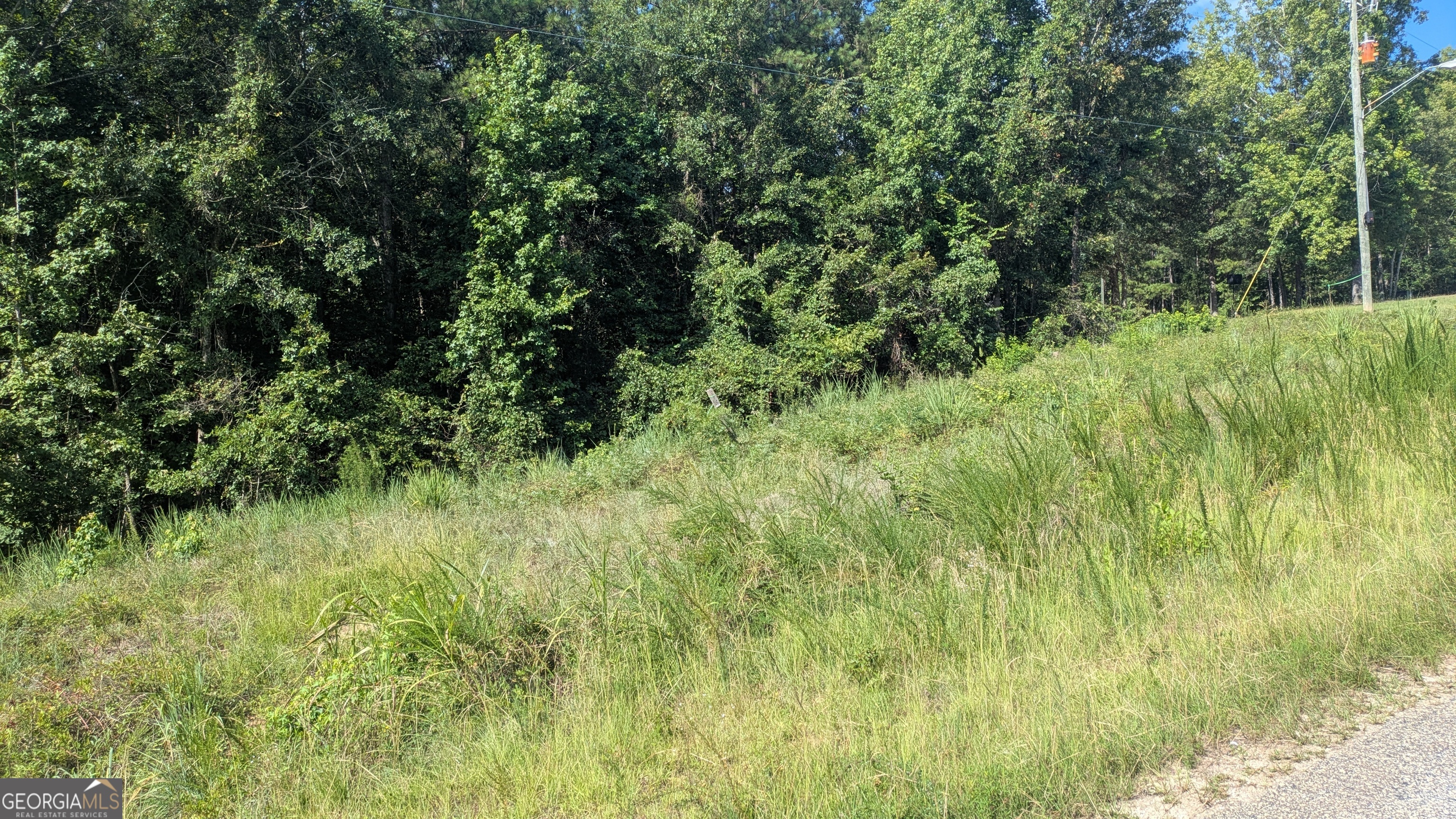 111 Chipper Lane Sparta, GA 31087 - Photo 2 of 3