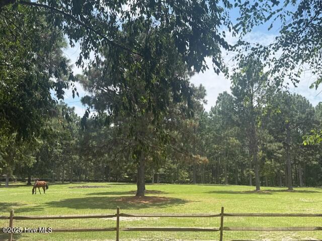170 Lindenhurst Farm Road Aberdeen, NC 28315 - Photo 32 of 50 170 Lindenhust pasture 1