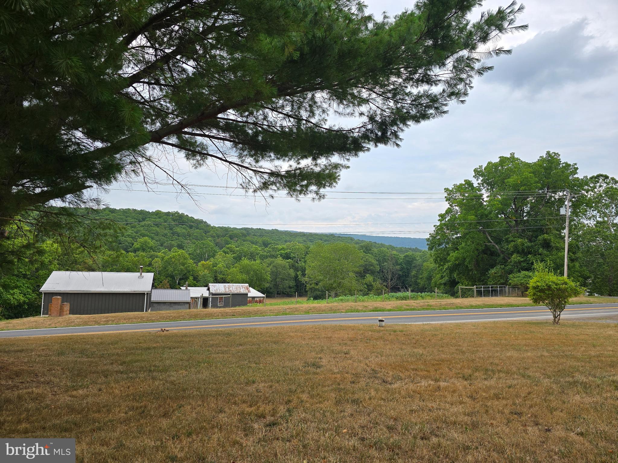 6752 Winchester Grade Road Berkeley Springs, WV 25411 - Photo 50 of 51 View from front yard