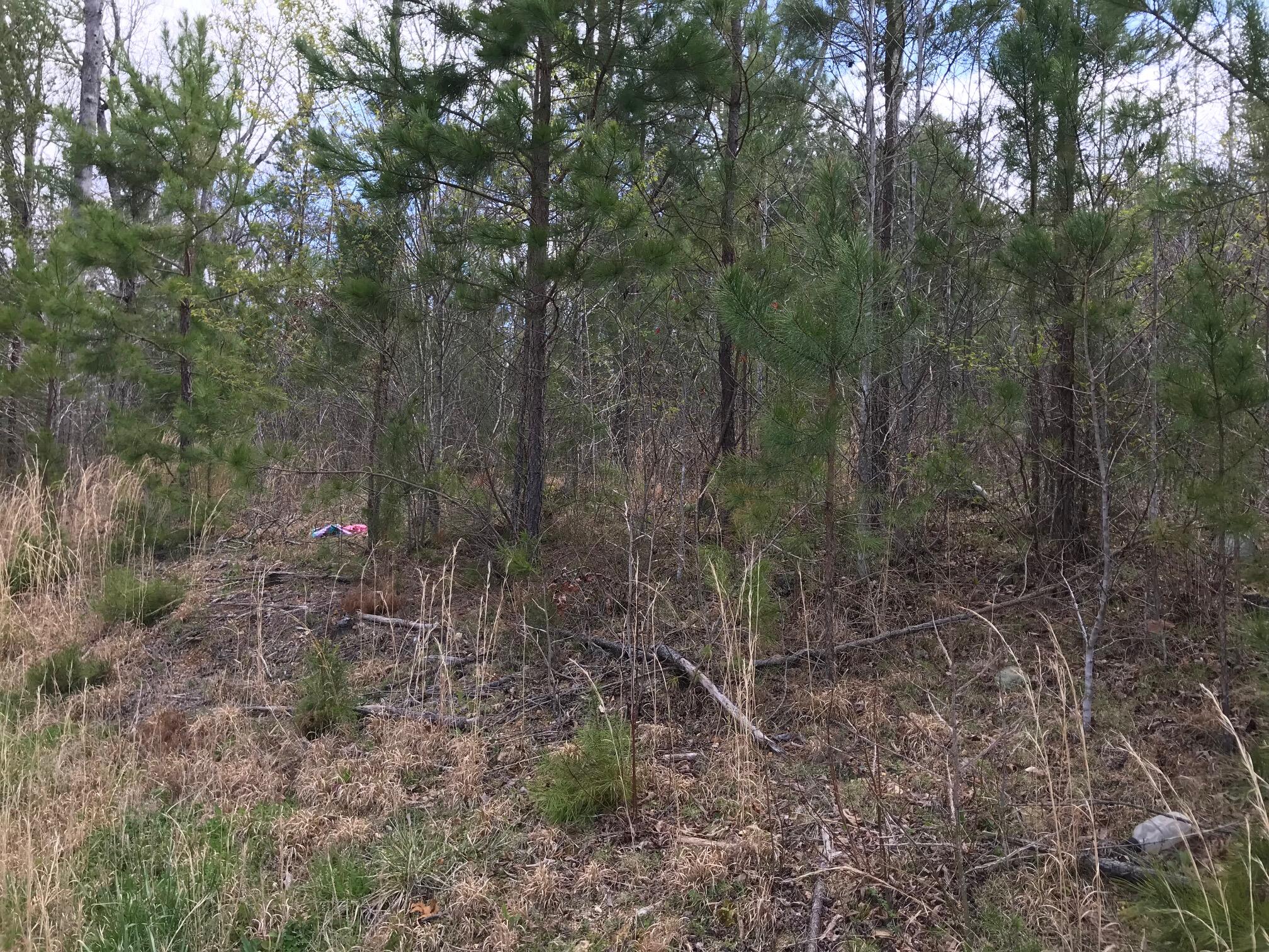 6 Farmington Ridge Drive, Unit 6 Dunlap, TN 37327 - Photo 1 of 5 farm 3