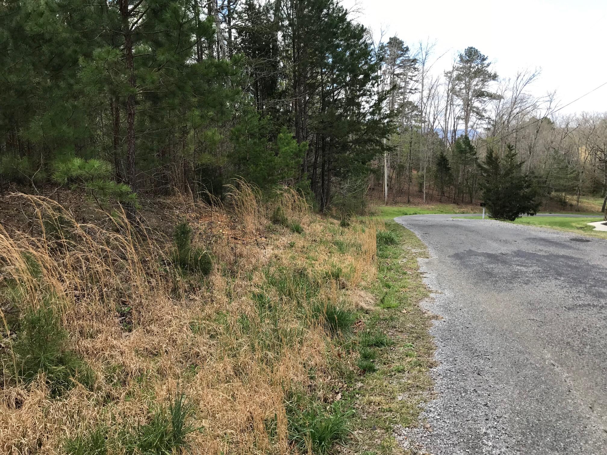 6 Farmington Ridge Drive, Unit 6 Dunlap, TN 37327 - Photo 2 of 5 farm 4