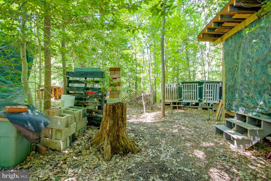262 Peninsula Farm Road Arnold, MD 21012 - Photo 45 of 47 Storage area/gardening area