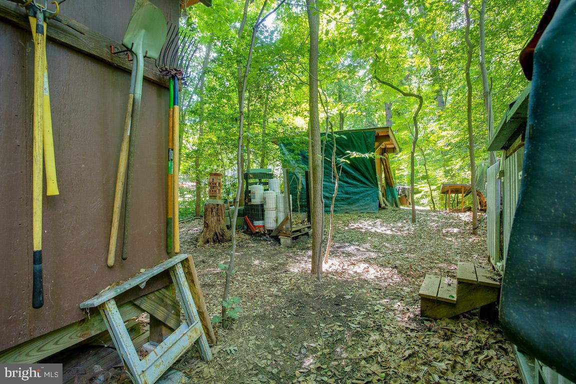 262 Peninsula Farm Road Arnold, MD 21012 - Photo 46 of 47 Working area for energetic gardeners