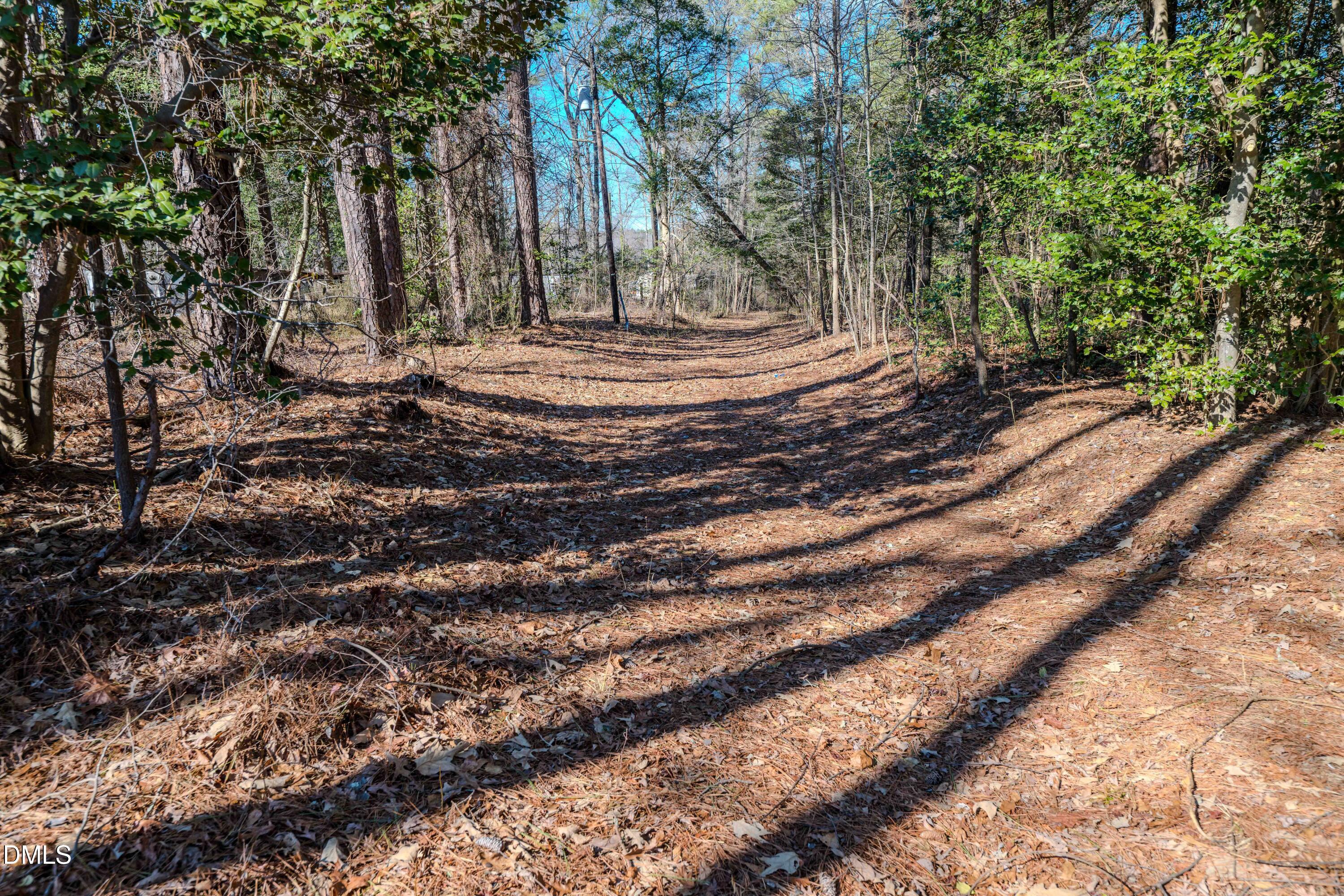6724 Wimberly Road Willow Spring, NC 27592 - Photo 21 of 36 a view of yard with tree